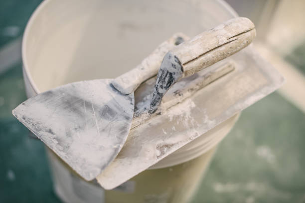 Best Mold-Related Health Consultation  in Santa Barbara, CA